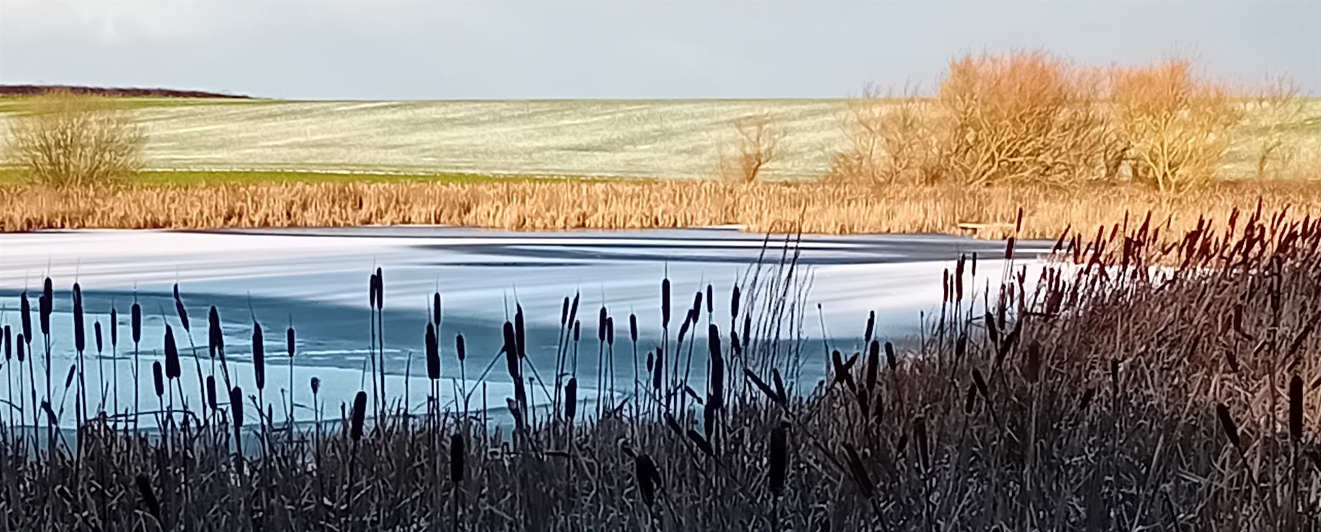A quiet winter landscape of reeds, still water and pale fields.